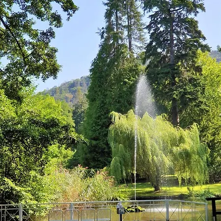 3 Echte Dtv Sterne Muenster Mit Saunen, Schwimmbad, Wlan & Netflix! *