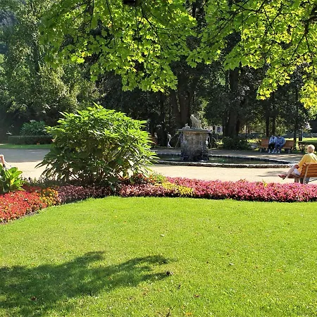 3 Echte Dtv Sterne Muenster Mit Saunen, Schwimmbad, Wlan & Netflix! Apartment *