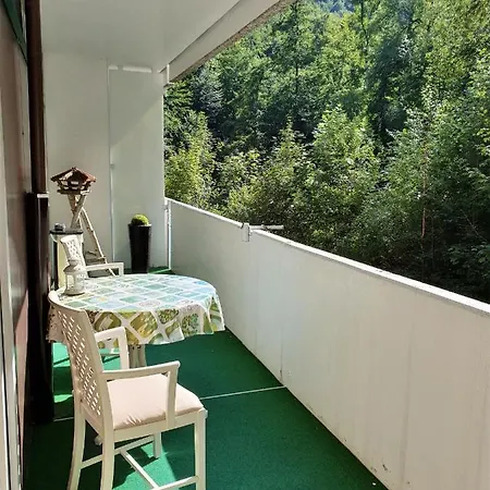 3 Echte Dtv Sterne Muenster Mit Saunen, Schwimmbad, Wlan & Netflix! Διαμέρισμα Bad Harzburg