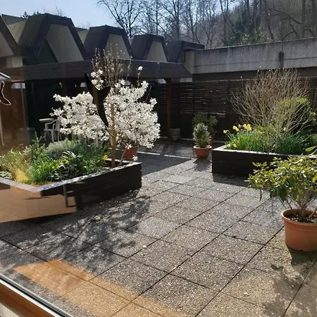 3 Echte Dtv Sterne Muenster Mit Saunen, Schwimmbad, Wlan & Netflix! Apartment *